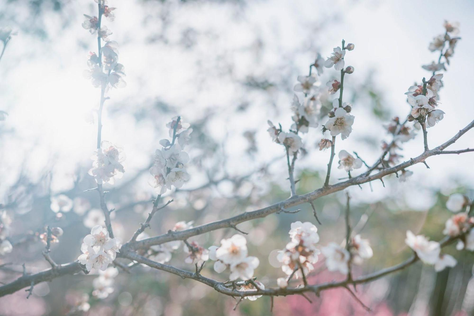 懐-Kai- Villa Kawazu Buitenkant foto